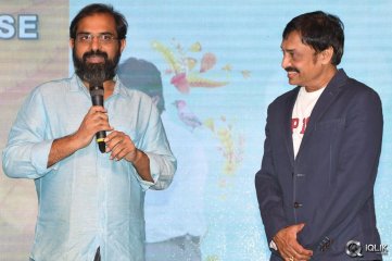 Pelli Choopulu Movie Audio Launch